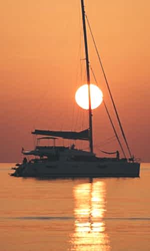 image newletter